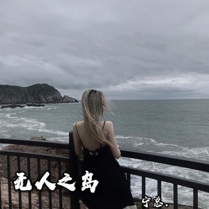 天下 (女生DJ版)封面