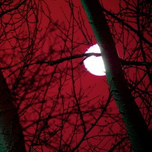 BLOOD MOON (feat. kuudere) (Explicit)