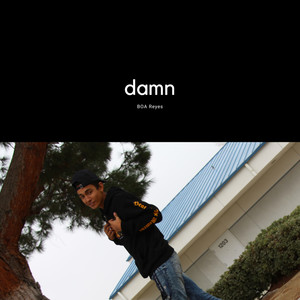 Damn (Explicit)