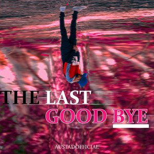 The Last Goodbye