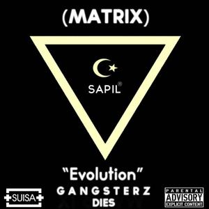 Matrix Evolution (Explicit)