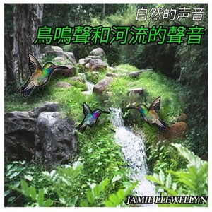 自然的声音: 鳥鳴聲和河流的聲音