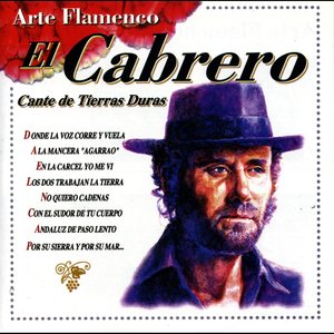 Arte Flamenco