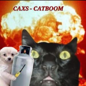 Catboom
