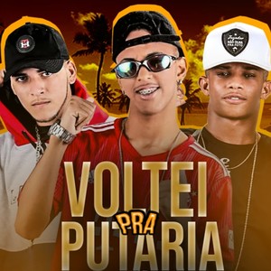 Voltei pra Putaria