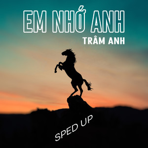 Em Nhớ Anh (Sped Up|Thành Ann Remix)