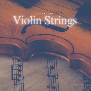 Violin Strings