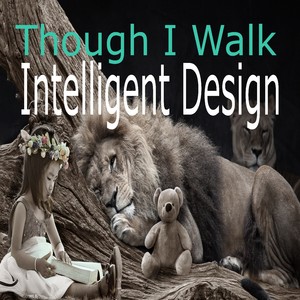 Though I Walk