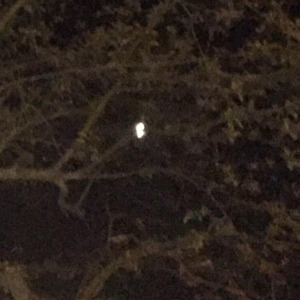 The moon (prod. nadiak)