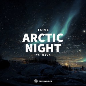 Arctic Night