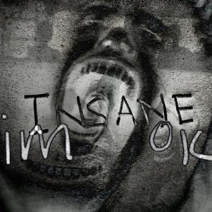 I'm Insane (I'm Ok) [Explicit]