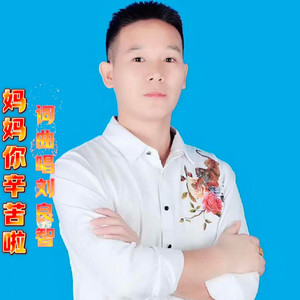 妈妈你辛苦啦 (DJ尼保版)