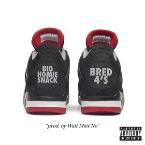 Bred 4s (Explicit)