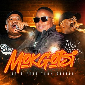 Mokgotsi (feat. Team Delela)