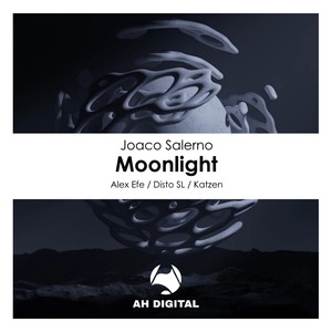 Moonlight (Alex Efe Remix)