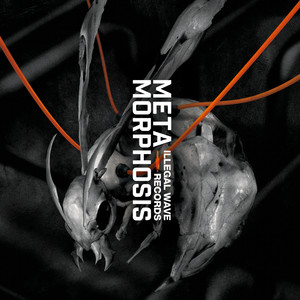 METAMORPHOSIS (Explicit)