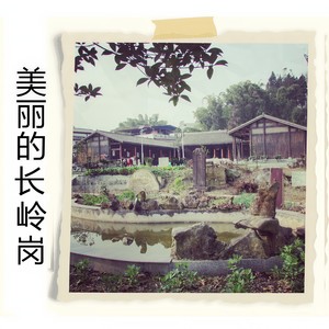 美丽的长岭岗