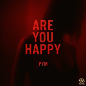 Are You Happy (Instrumental Mix)