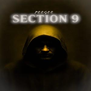 Section 9