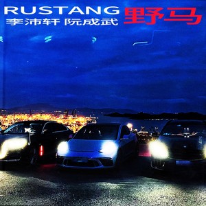 RUSTANG (野马)