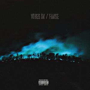 Vibes In / FANSE (Explicit)