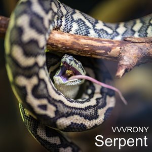 Serpent (Explicit)