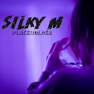 Until Next Time (feat. Brandon Johnson)