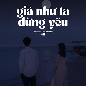 Giá Như Ta Đừng Yêu (Lofi)