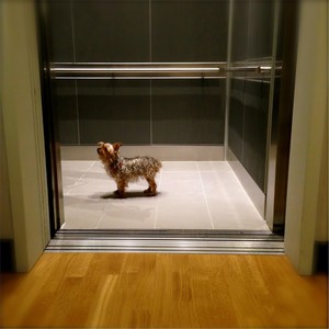 Do Not Use Elevators