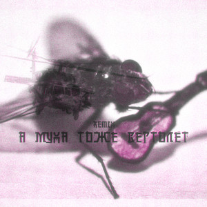 А муха тоже вертолёт (Remix|Explicit)
