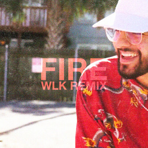 Fire (WLK Remix) [Explicit]