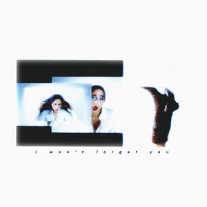 I Won't Forget You (feat. Chin Injeti)