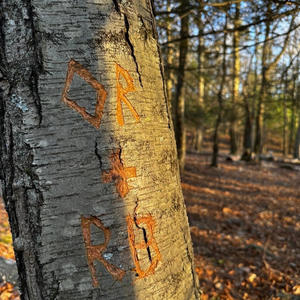 There In Your Hands (feat. Prettyboylego, SoundsBySoop & TBG Gabe)