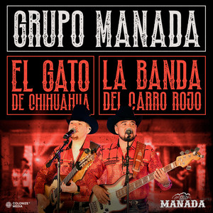 El Gato De Chihuahua Y La Banda Del Carro Rojo (En Vivo|Explicit)