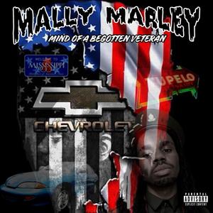 Mind Of A Begotten Veteran (Explicit)