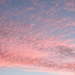 NAKED (feat. Zane98) (Explicit)