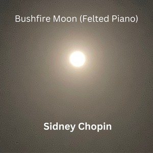 Bushfire Moon (Felted Piano)