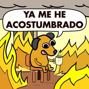 YA ME HE ACOSTUMBRADO (feat. beatone79) [Explicit]