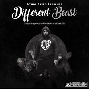 Different Beast (Explicit)