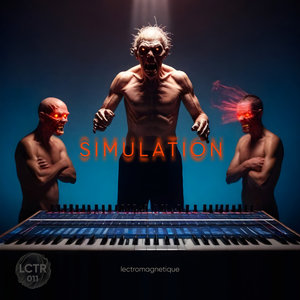 Simulation