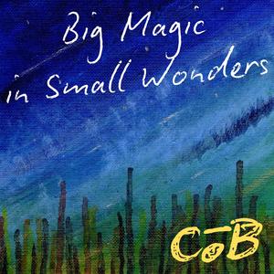 Big Magic in Small Wonders