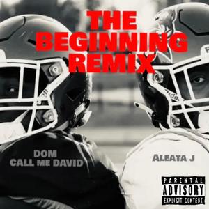 The Beginning (feat. Aleata J) [Remix] [Explicit]