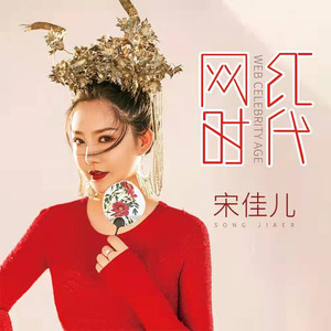 网红时代 (Dj版伴奏)