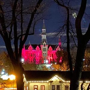 Villain Ark (Explicit)