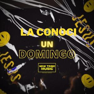 La Conoci Un Domingo (feat. Dj Luis Fuentes)