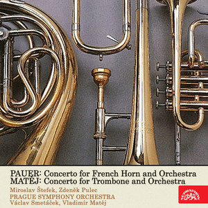 Concerto for French Horn and Orchestra - III. Allegro giocoso