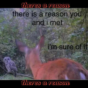 Theres a Reason (feat. prod. YUNGMEXICANBIH) (Explicit)