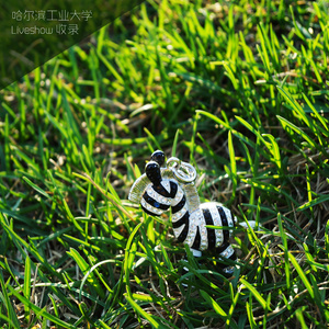 杀死那个石家庄人 (Live)