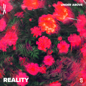 Reality (Extended Mix)