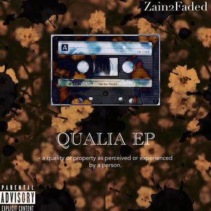 Qualia (Explicit)